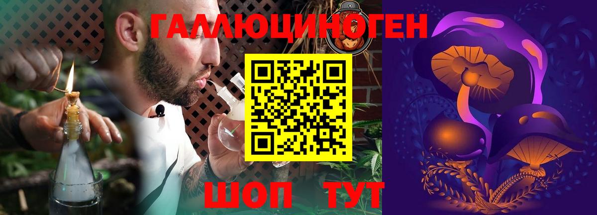 Галлюциногенные грибы Psilocybe  Вход с VPN  Галлюциногенные грибы GOLDEN TEACHER  Мыски 